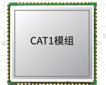 Cat1 wireless communication module